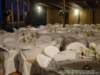 dsc00485_small.jpg