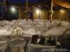 dsc00486_small.jpg