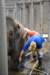 elephant22ndjanuary2011065_small.jpg