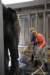 elephant22ndjanuary2011075_small.jpg