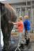 elephant22ndjanuary2011077_small.jpg