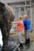 elephant22ndjanuary2011078_small.jpg