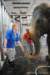 elephant22ndjanuary2011085_small.jpg