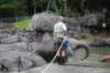 elephant22ndjanuary2011105_small.jpg