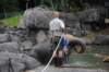 elephant22ndjanuary2011106_small.jpg