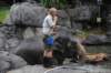 elephant22ndjanuary2011107_small.jpg