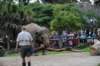 elephant22ndjanuary2011128_small.jpg