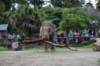 elephant22ndjanuary2011130_small.jpg