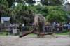 elephant22ndjanuary2011132_small.jpg