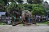elephant22ndjanuary2011133_small.jpg