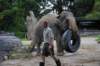 elephant22ndjanuary2011164_small.jpg