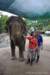 elephant22ndjanuary2011172_small.jpg
