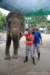 elephant22ndjanuary2011175_small.jpg