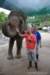 elephant22ndjanuary2011177_small.jpg