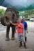 elephant22ndjanuary2011178_small.jpg