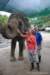 elephant22ndjanuary2011179_small.jpg