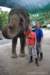 elephant22ndjanuary2011180_small.jpg