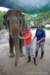 elephant22ndjanuary2011183_small.jpg