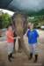 elephant22ndjanuary2011185_small.jpg