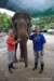elephant22ndjanuary2011186_small.jpg