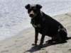 dsc00135_small.jpg