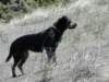 dsc00136_small.jpg