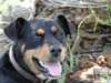 dsc00143_small.jpg
