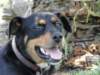 dsc00144_small.jpg