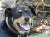 dsc00145_small.jpg