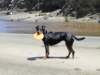 dsc00167_small.jpg
