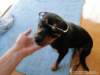 dsc00722_small.jpg