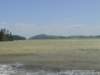 dsc00198_small.jpg