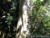 dsc00201_small.jpg