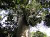 dsc00202_small.jpg
