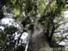 dsc00203_small.jpg