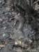 dsc00205_small.jpg